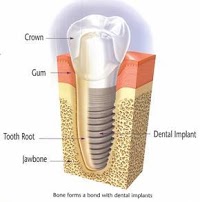A1 Dental Care 173857 Image 0
