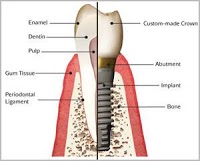 Churchill Dental Practice 180239 Image 3