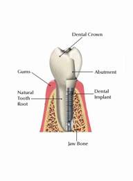 Holistic Dental 170646 Image 5