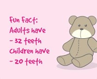 Kiddies Dental Care 171630 Image 6