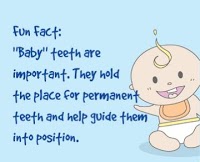 Kiddies Dental Care 171630 Image 7